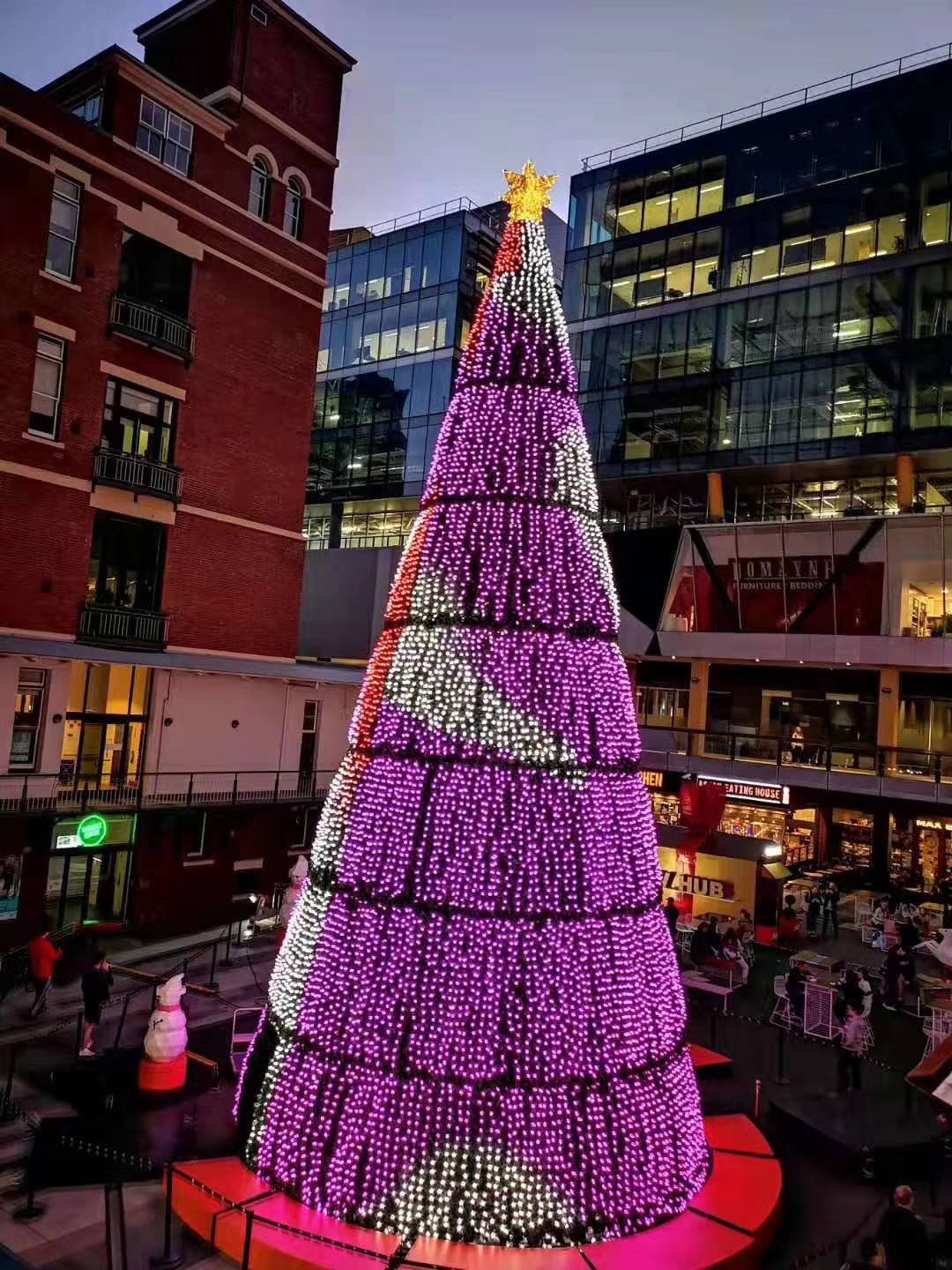 La guirnalda programable del pixel de DC12V WS2811 del alto brillo llevó las luces del árbol de navidad del RGB